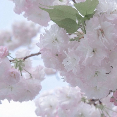 兽设洞穴场景设计Furry群