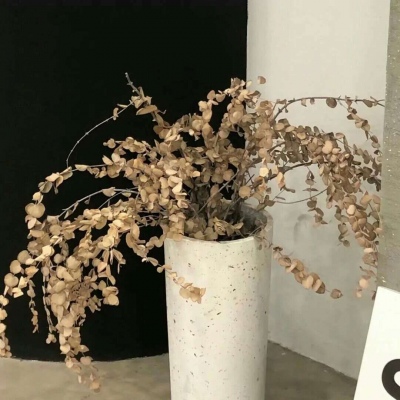 涧西福瑞交流群